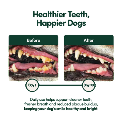 BrushFree™ - Dental Powder for Dogs