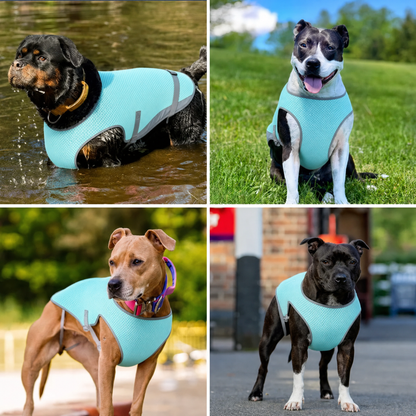 CoolCoat™ - Lightweight Cooling Vest for Dogs