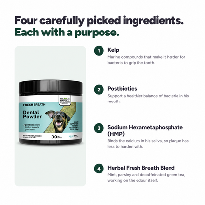 BrushFree™ - Dental Powder for Dogs